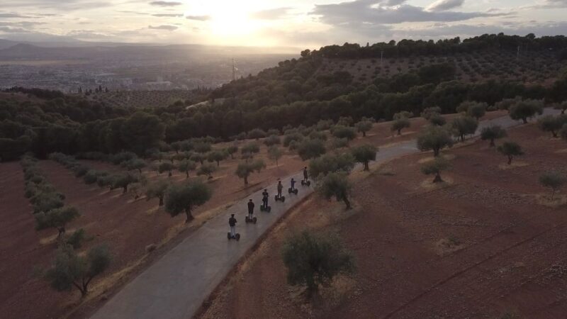 Granada: Mountains and Landscapes Off-Road Segway Tour - Customer Reviews and Ratings
