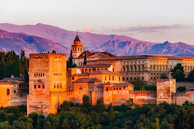 Granada : Private Custom Walking Tour With Guide (Private Tour) - Meeting and Pickup