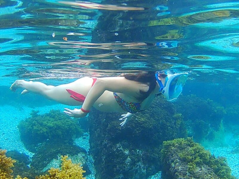 Granada: Rijana Beach Snorkeling Tour - Key Points
