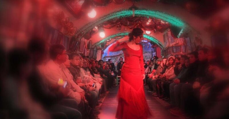 Granada: Sacromonte Caves Flamenco Show - Venue and Accessibility Details