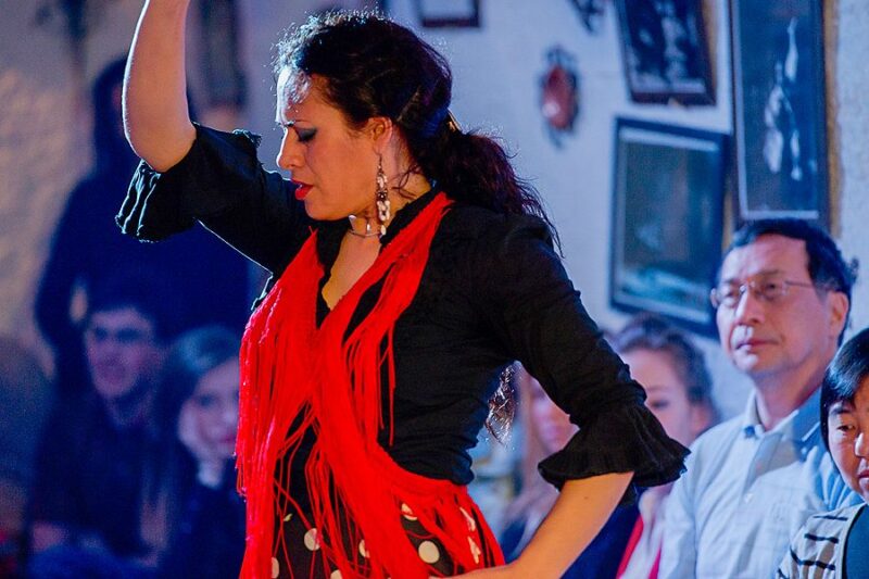 Granada: Sacromonte Caves Flamenco Show With Dinner - Flamenco Performance