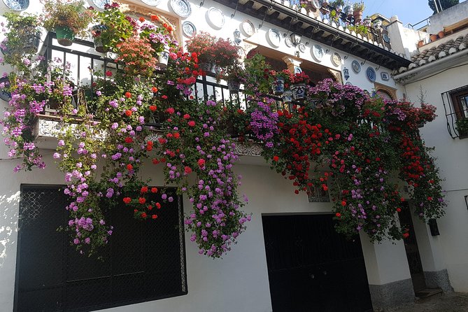 Granada Segway Tour to Albaicin and Sacromonte - Segway Experience