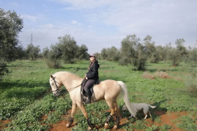 Granada & Sierra Nevada Horse Riding Tour - Scenic Views and Feedback