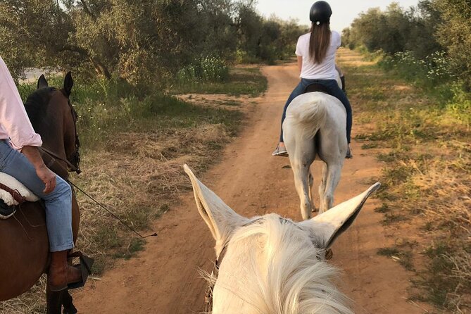 Granada & Sierra Nevada Horse Riding Tour - Participant Considerations