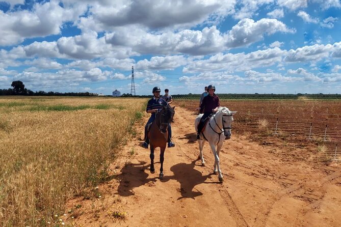 Granada & Sierra Nevada Horse Riding Tour - Tour Location and Rating