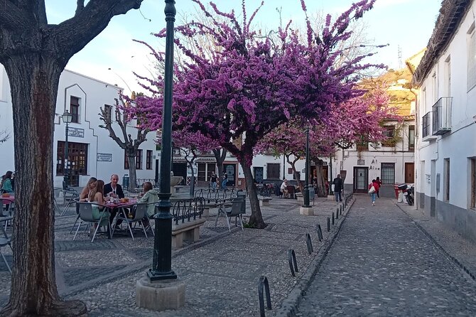 Granada Tour in Alhambra Albaicin and Sacromonte - Review Highlights