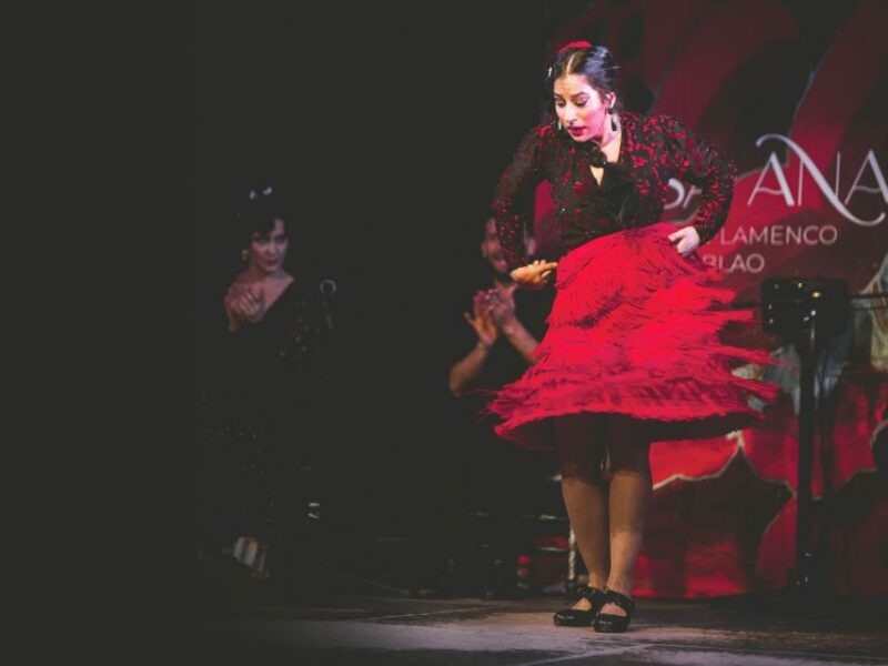 Granada: Traditional Flamenco Show at Tablao Casa Ana - Venue and Atmosphere