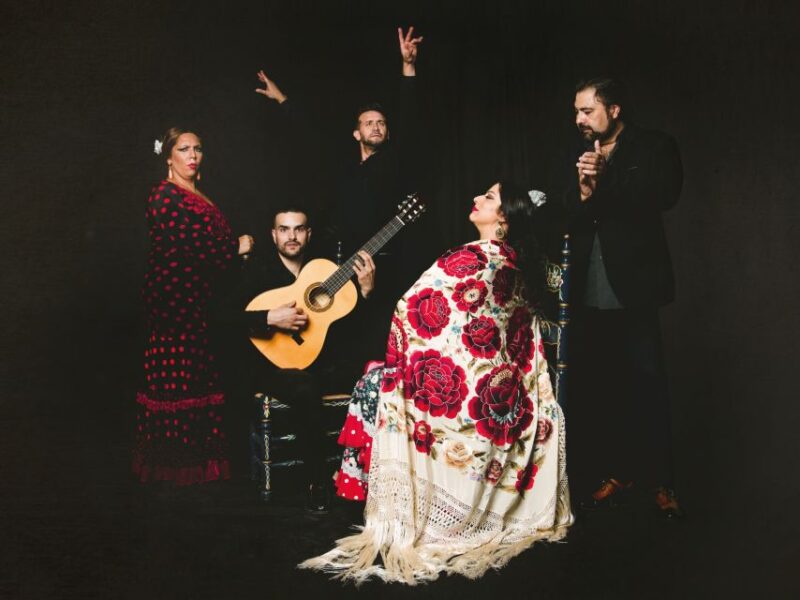 Granada: Traditional Flamenco Show at Tablao Casa Ana - Performance Details