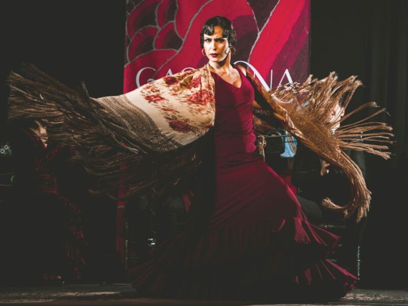 Granada: Traditional Flamenco Show at Tablao Casa Ana - Artistic Experience