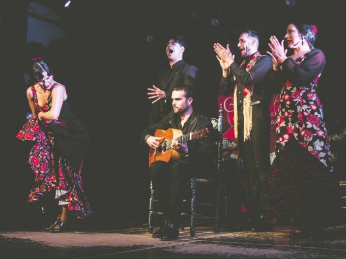 Granada: Traditional Flamenco Show at Tablao Casa Ana - Meeting Point and Included Amenities