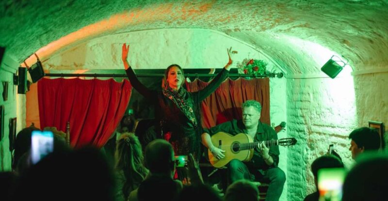 Granada: Traditional Flamenco Show in a Cave Entry Ticket - Food and Beverage Options