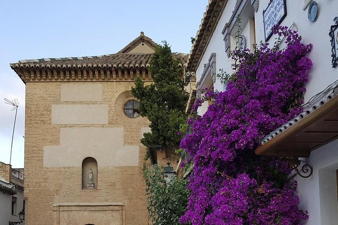 Granada Walking Tour: Albaicin and Sacromonte Quarters - Visiting the Sacromonte Neighborhood
