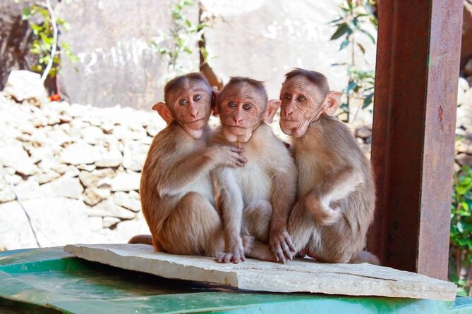 Granby Zoo 1 Day - Comfortable Transportation