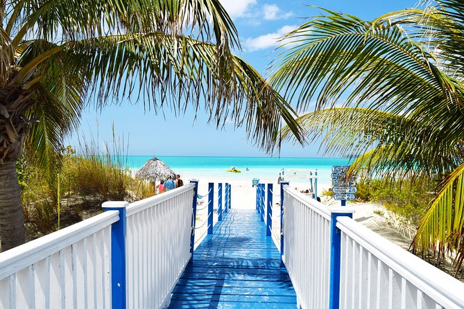 Grand Bahama Island Ferry Day Trip - Reviews and Feedback