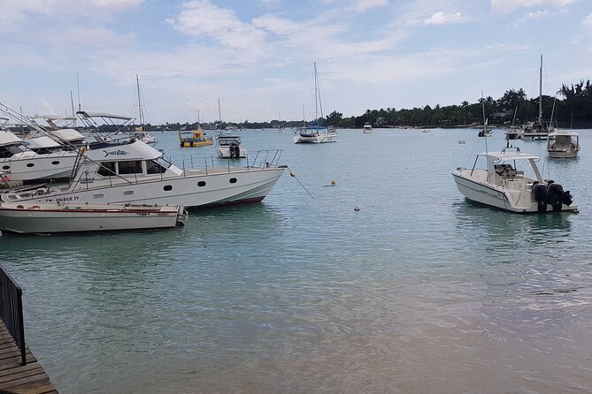 Grand Bay Food Tour - Meeting and Pickup