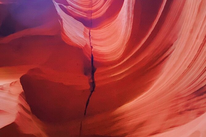 Grand Canyon, Antelope Canyon and Horseshoe Bend Day Tour - Dietary Considerations