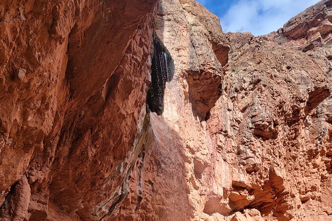 Grand Canyon Backcountry Hiking Tour to Phantom Ranch - Physical Requirements