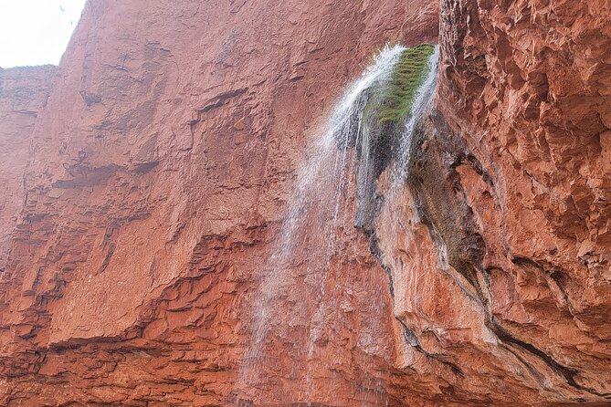 Grand Canyon Backcountry Hiking Tour to Phantom Ranch - Highlights of the Tour