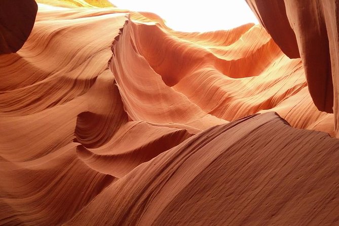 Grand Canyon by Yourself From Las Vegas by SUV - 10 Hrs Disposal - Skywalk Experience and Private Guide