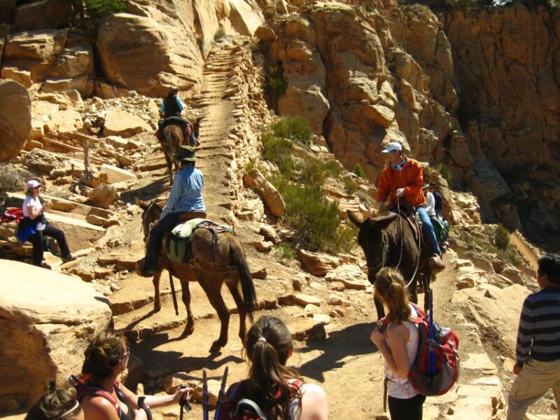 Grand Canyon Full-Day Hike From Sedona or Flagstaff - Inclusions
