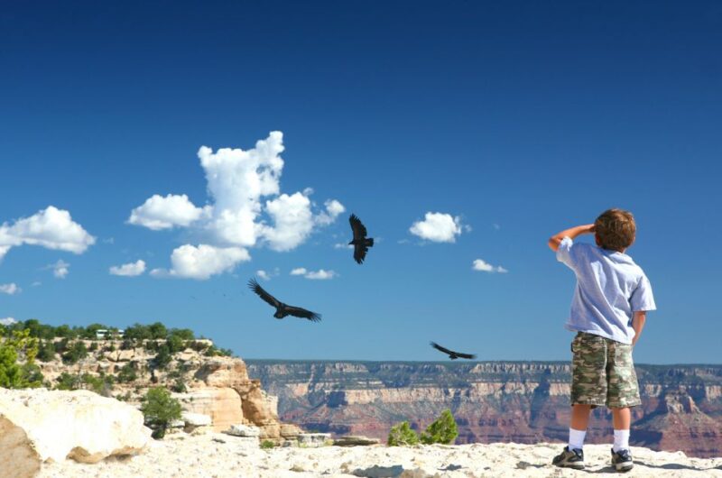 Grand Canyon: Morning Off-Road Safari With Skip the Gate - Exclusive Forest Permit