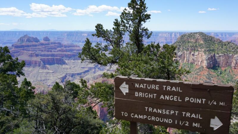 Grand Canyon: North Rim Private Group Tour From Las Vegas - Unique Scenery