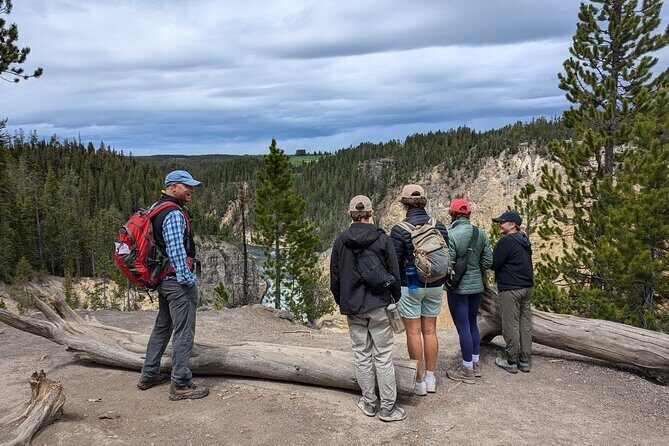 Grand Canyon of Yellowstone Hiking Adventure Full Day with Lunch - FAQs