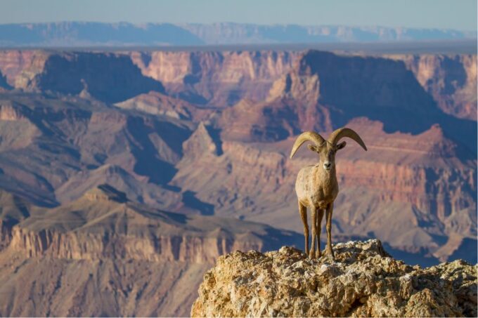 Grand Canyon: Self-Guided South Rim Tour - What to Bring