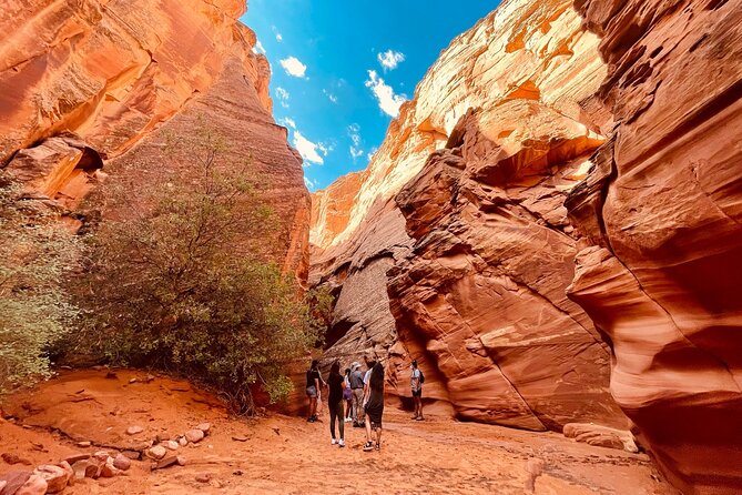 Grand Canyon South Rim, Antelope Canyon and Horseshoe Bend Tour - Cancellation Policy