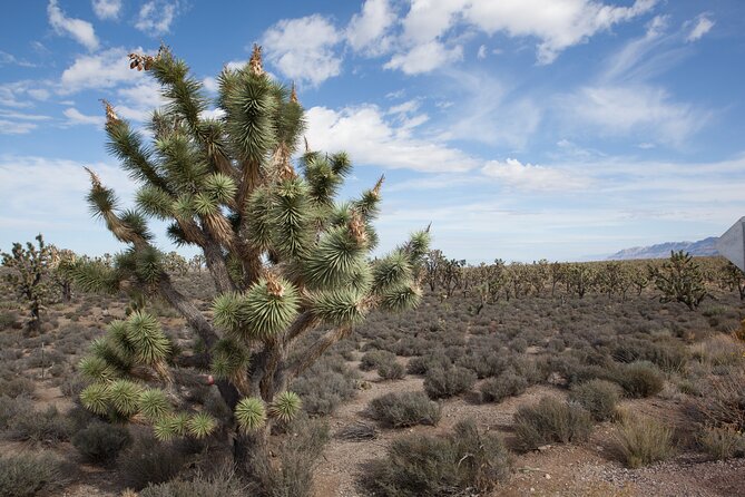 Grand Canyon Tour in Spanish - Inclusions