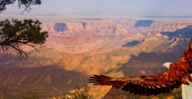 Grand Canyon West: 1-Day Entrance Ticket - Attractions and Experiences