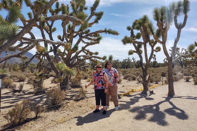 Grand Canyon West Skywalk (Optional) Ranch & Joshua Tree Forest - Reviews