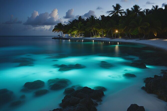 Grand Cayman Bioluminescence Experience - Key Points