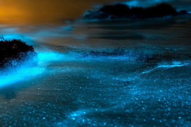 Grand Cayman Bioluminescence Experience - Final Words