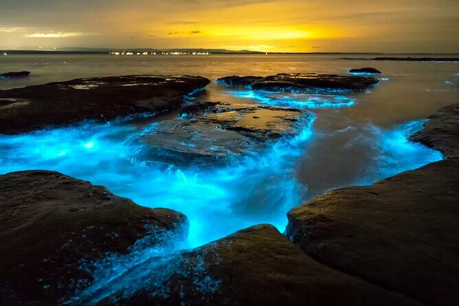 Grand Cayman Bioluminescent Bay Adventure - Exploring the Grand Cayman Bioluminescent Bay Adventure