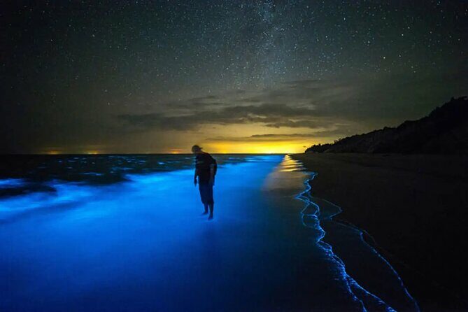 Grand Cayman Bioluminescent Bay Adventure - The Experience and What You Should Know