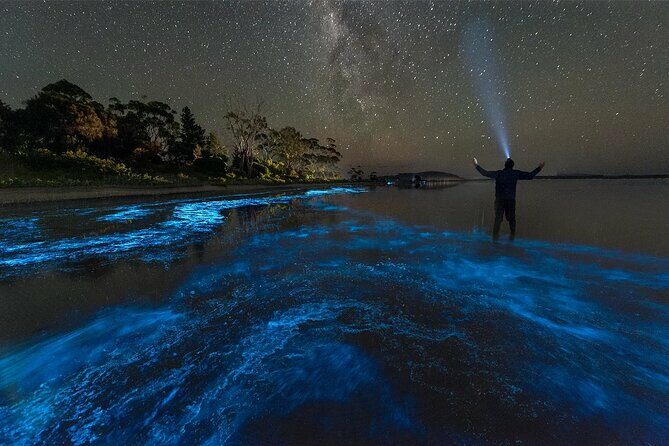 Grand Cayman Bioluminescent Bay Adventure - Authentic Experiences and Practical Tips