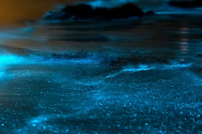 Grand Cayman Bioluminescent Bay Adventure - The Sum Up