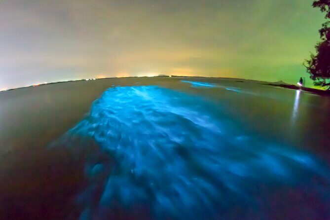 Grand Cayman Bioluminescent Bay Adventure - FAQ