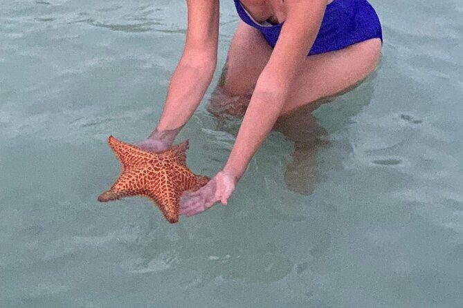 Grand Cayman - Bioluminescent Bay Tour - An In-Depth Look at the Tour Experience
