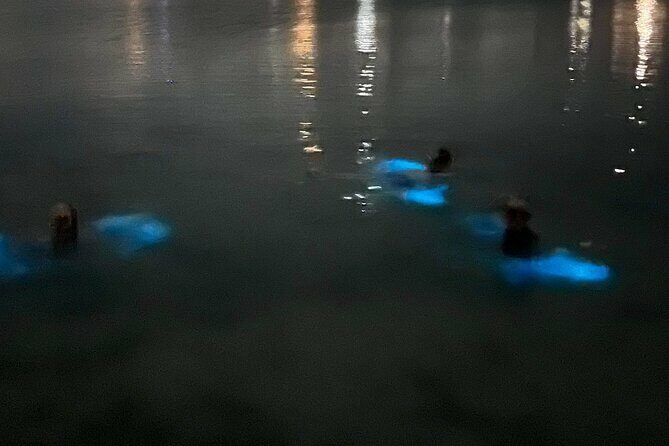 Grand Cayman - Bioluminescent Bay Tour - Frequently Asked Questions (FAQs)