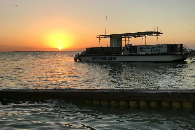 Grand Cayman - Bioluminescent Bay Tour - Final Thoughts