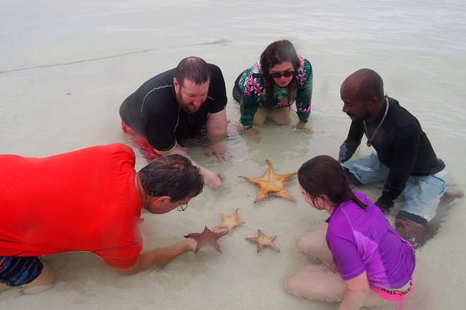 Grand Cayman Cruise: Starfish Point, Stingray City, Coral Garden - Health and Safety Guidelines