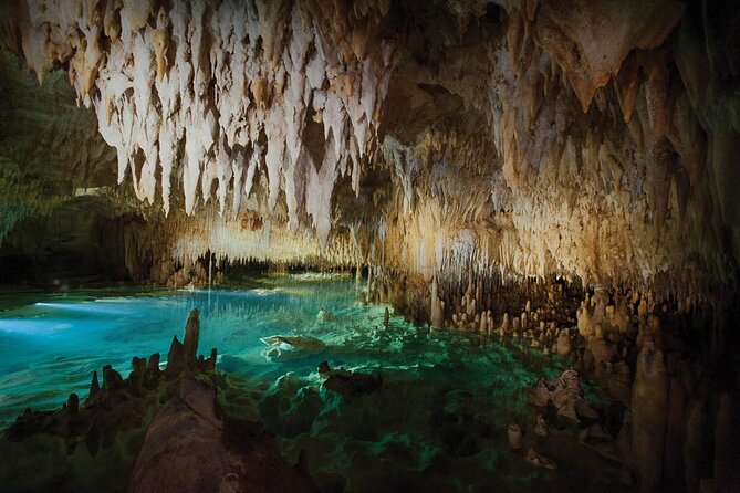 Grand Cayman Private Customized Bus Tour - Sightseeing Highlights
