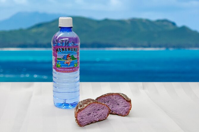 Grand Circle Island and Haleiwa 9 Hour Tour - Guide and Cultural Experience