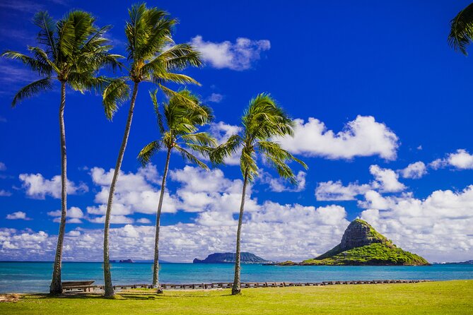 Grand Circle Island and Haleiwa 9 Hour Tour - Customer Feedback and Recommendations