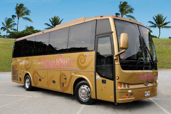 Grand Circle Island and Haleiwa 9 Hour Tour - What To Expect