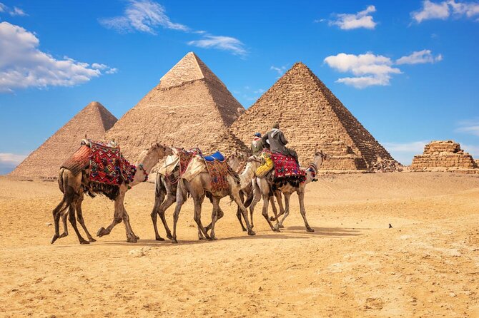 Grand Egyptian Museum - Dining and Refreshments