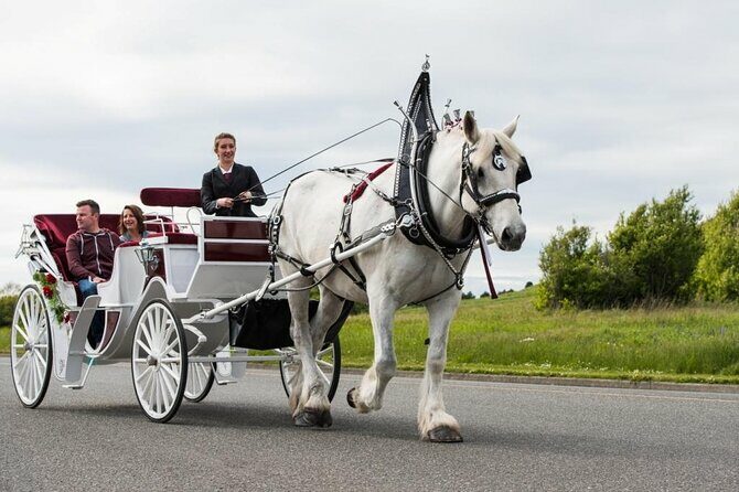 Grand Horse-Drawn Carriage Tour of Victoria - Who Should Consider This Tour?