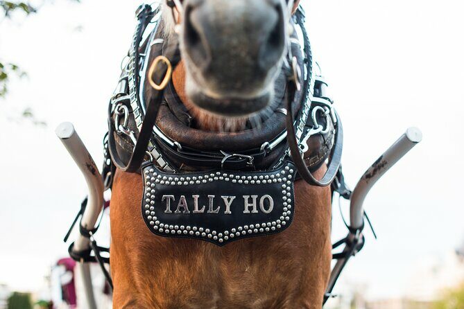 Grand Horse-Drawn Carriage Tour of Victoria - FAQ
